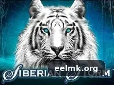 Cassino ao vivo no eelmk com dealers reais
